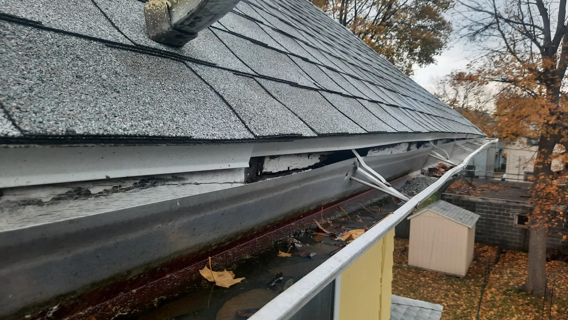 A close-up view of a house gutter filled with water and leaves, with damaged fascia board behind it.